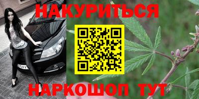 mdpv Рыбинск
