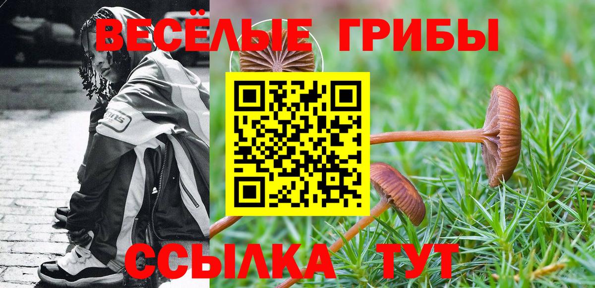 Псилоцибиновые грибы Cubensis Саяногорск