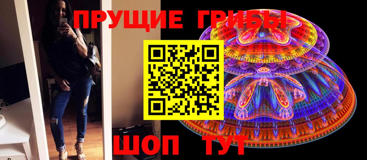 закладки  Вход с VPN  Саяногорск  Галлюциногенные грибы мицелий 